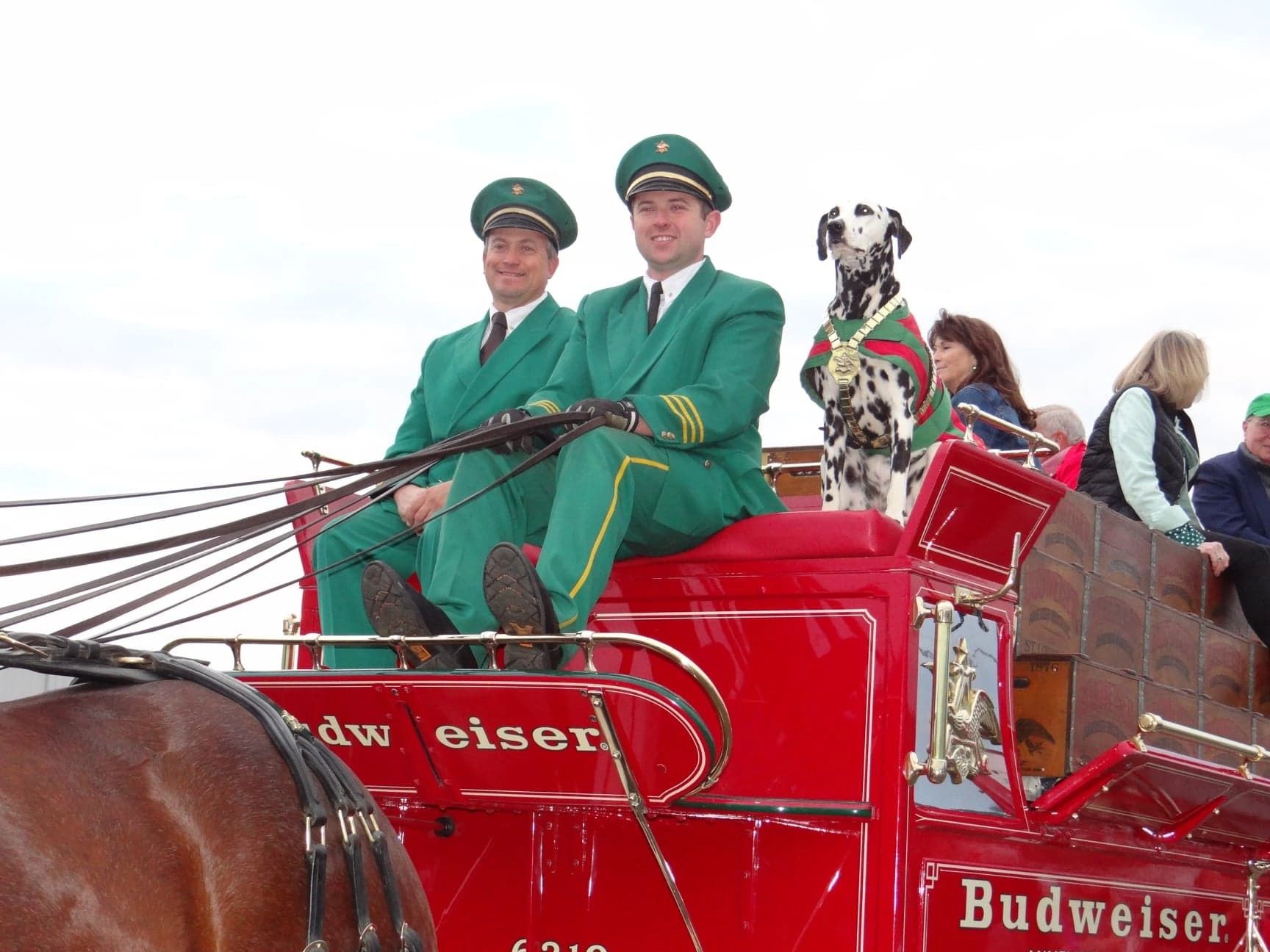 Budweiser wagon at parade festival